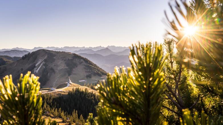 Wallberg - Blick zum Setzberg