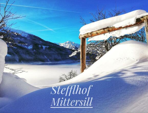 Stefflhof Mittersill