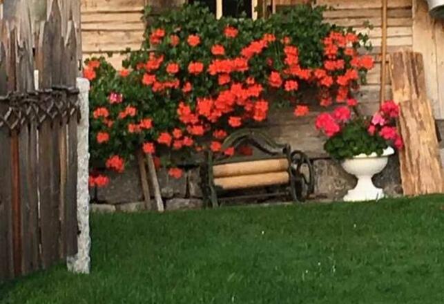 Bernd und Petra Schädle