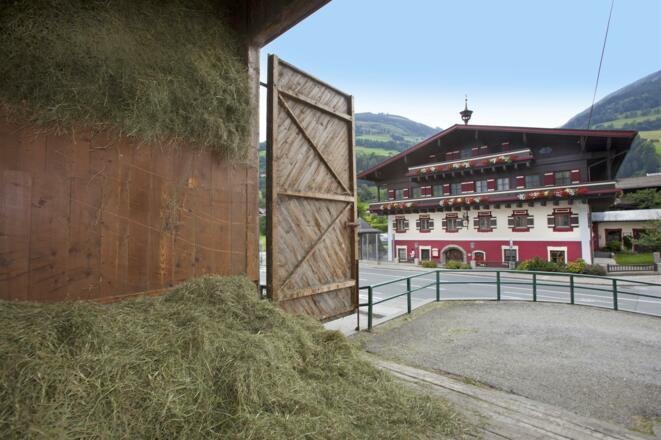 Hausfoto Landwirtschaft