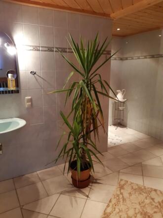 Sauna Bereich