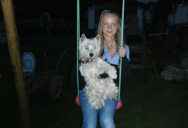 Wohnzimmer mit Panoramaschiebetür zur Terrasse