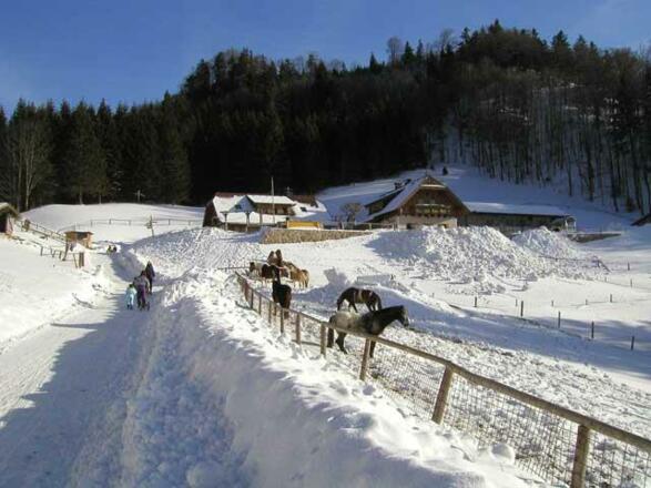 Naturrodelbahn Hochsteinalm.