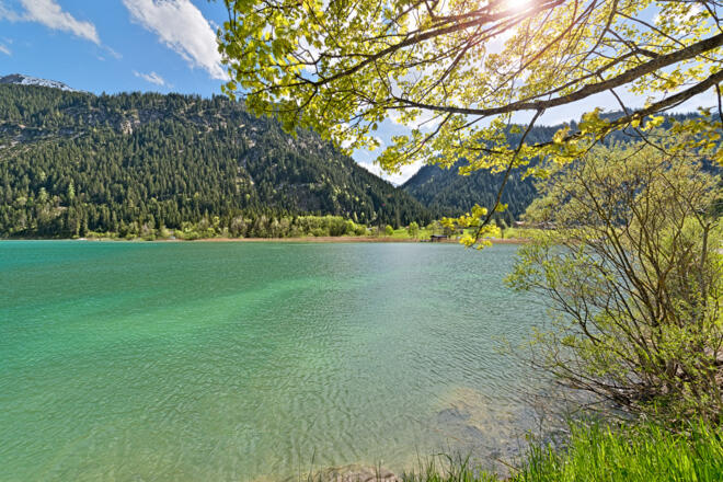 Fischwasser Haldensee