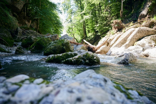 Engenlochschlucht, Wasserwanderweg in Hittisau