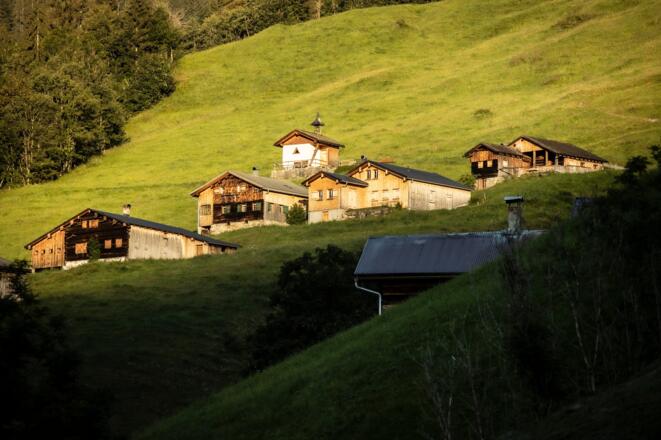 Ahornenvorsäß in Au