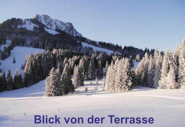 Herrlicher Ausblick von der Terrasse der FeWo Rohrmooshöfle 1