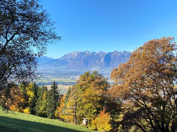 Blick Richtung Hoher Kasten SG