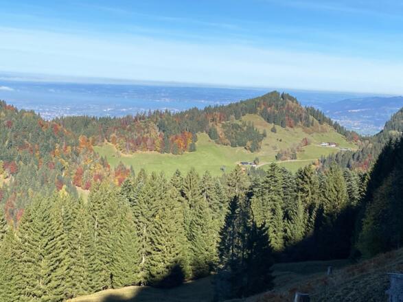 Blick zum Bodensee