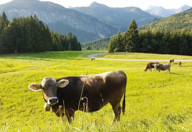 Ein Wintertraum auf der Reuterwanne, leicht zu Fuß erreichbar