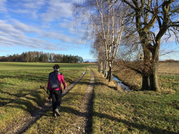 Benediktpilgerin auf dem Weg nach Wolfern