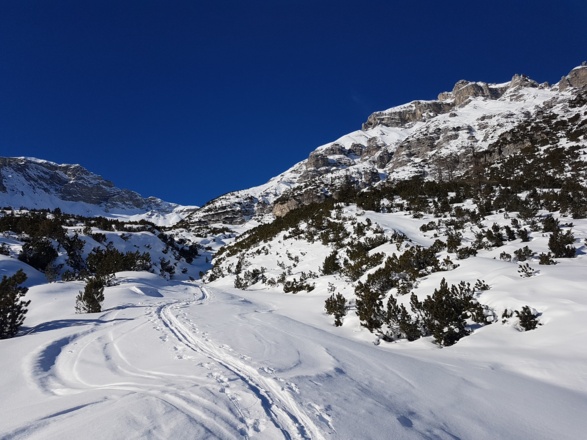 Bei 1700 m kommt man ins offene Gelände.
