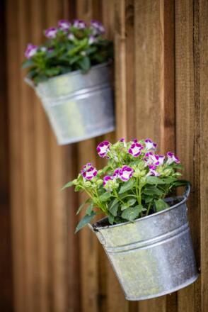 Unsere Blumendeko...