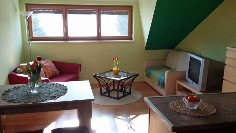 Ferienwohnung Dachs - Wohnküche