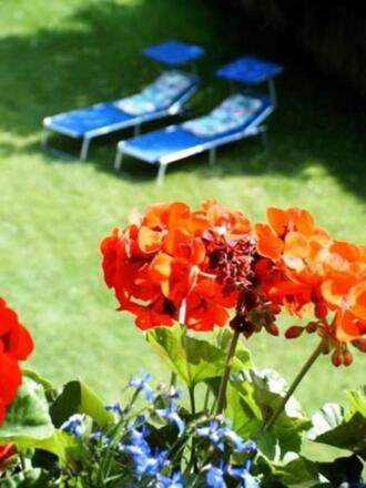 Blick in den Garten