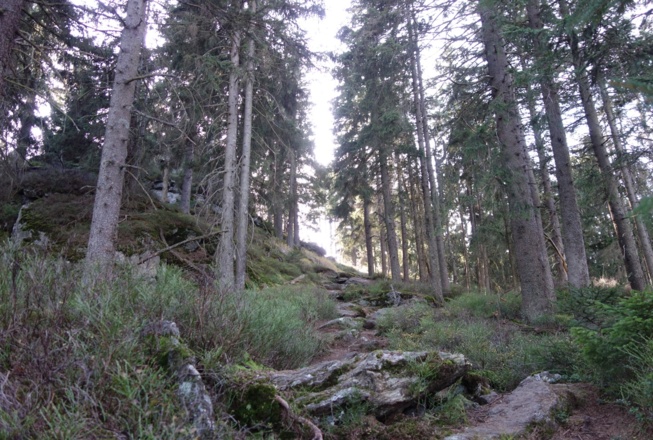Grenzpfad - der steile Anstieg