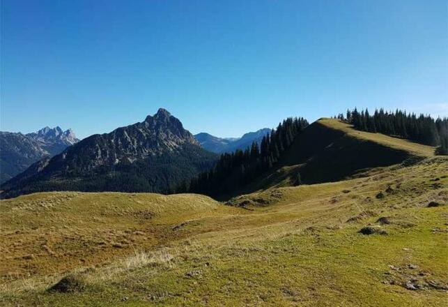 Blick auf den Hausberg Sorgschrofen und die umliegende Bergwelt