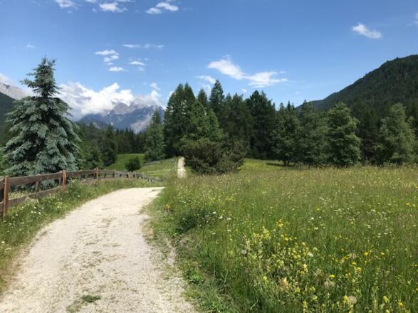 Blick ins Karwendel