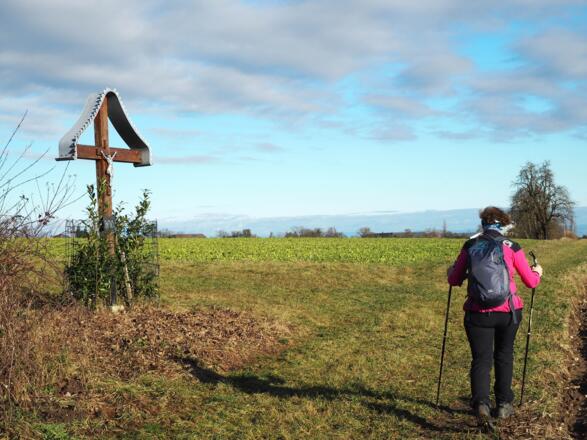 Benediktpilgerin kommt am Feldkreuz nach Wolfern vorbei