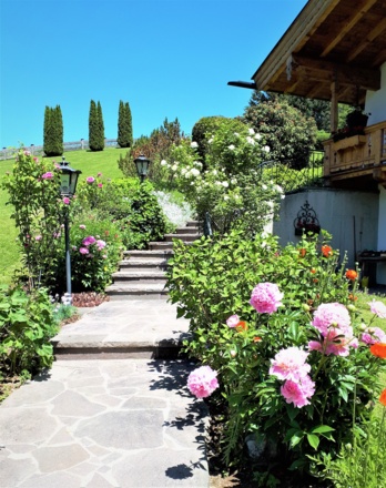 Treppe mit Pfingsrosen