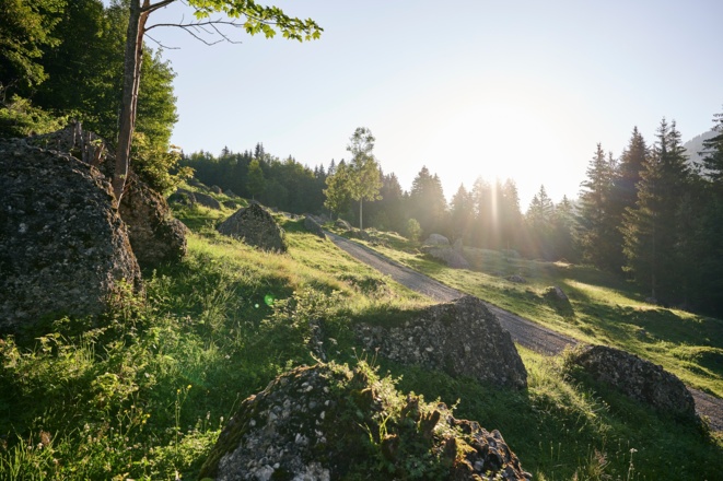 Naturpark Nagelfluhkette