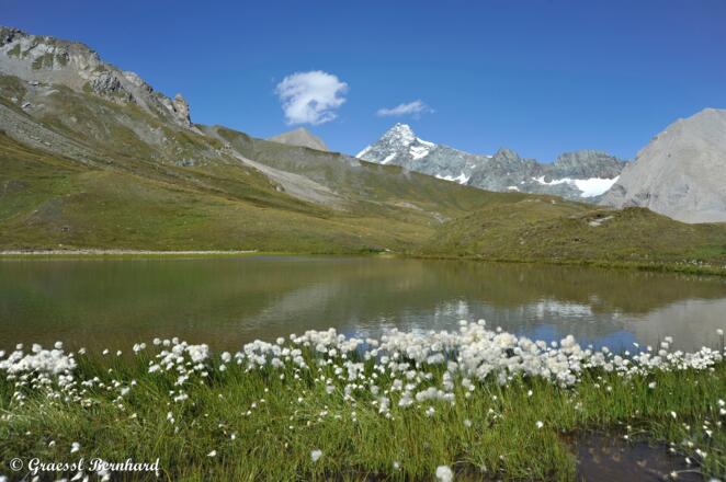 Oberer Glatzsee mit Großglockner im Hintergrund.
