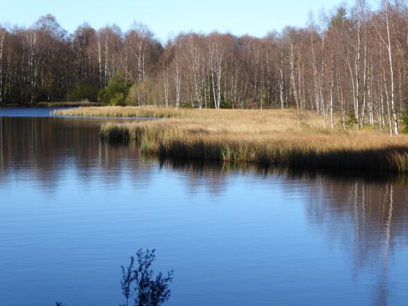 Rotes Moor