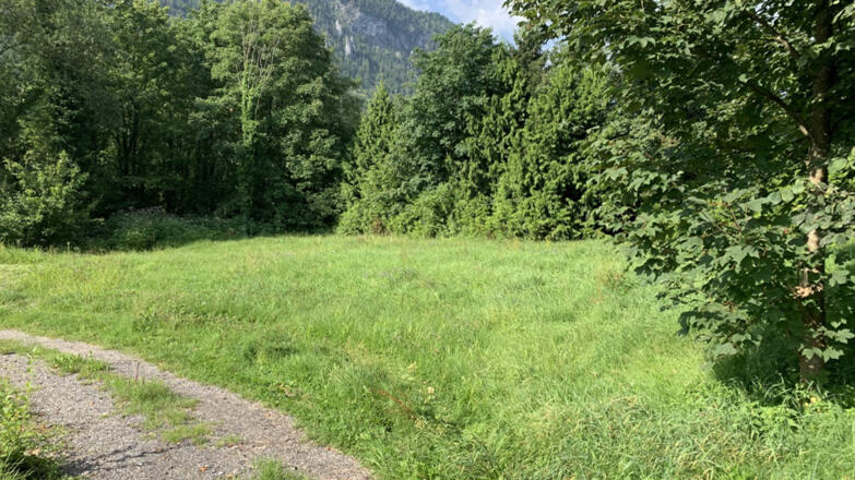 Zelt- & Stellplatz Unterach am Attersee