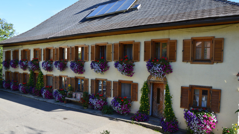 Miesenberger Haus