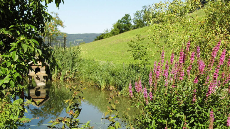Biotop Biohof Schwanser Steinbach am Attersee