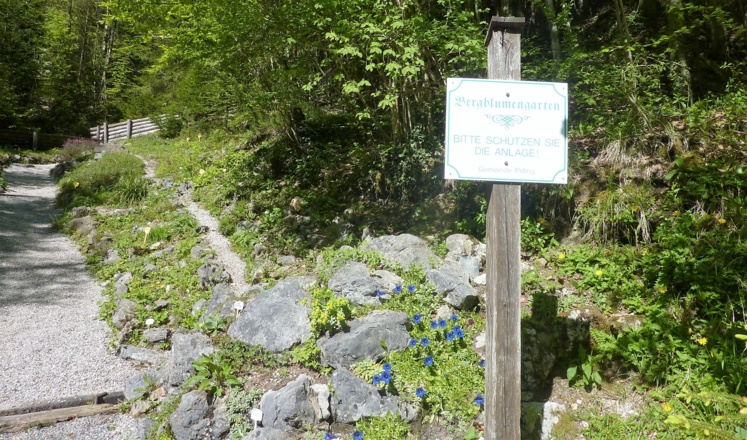 Bergblumengarten