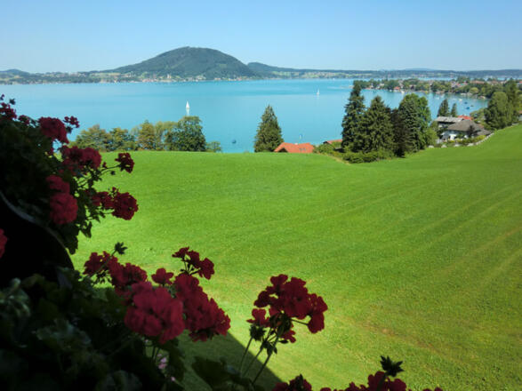 Balkon Blumen Gaigg