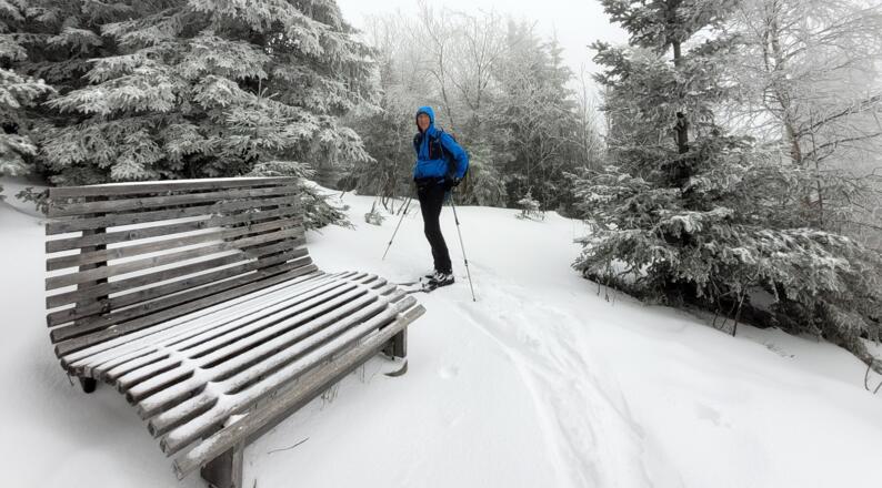 Ausichtspunkt am Pfad von der Gschwendtalpe Richtung Weißenfluh