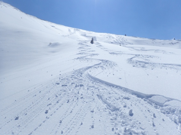 Perfekter Pulver in der Nordflanke des Hochkasern