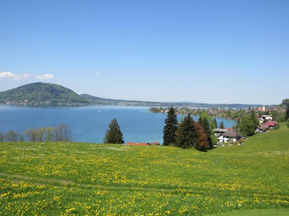 Frühling