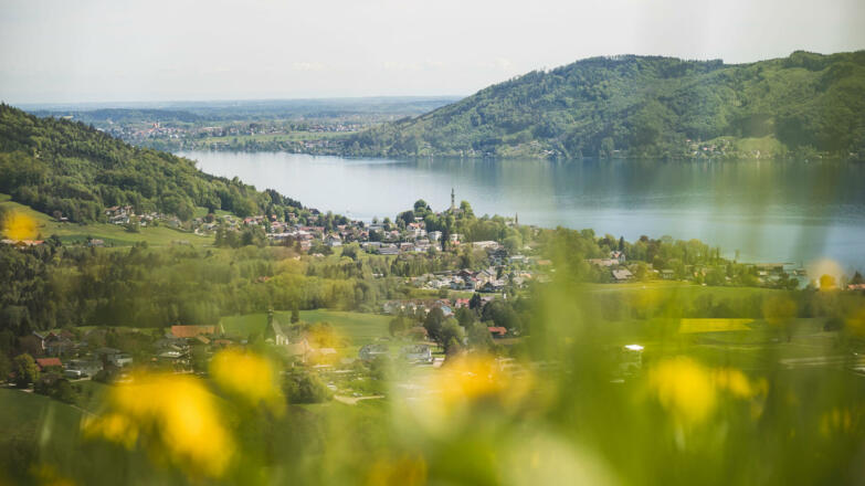 Kronberg Aussicht auf den Attersee
