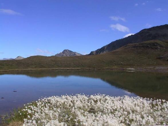 Bergsee am Wildkogel
