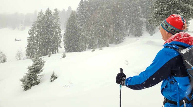 Vom Älpele zur Gschwendtalpe