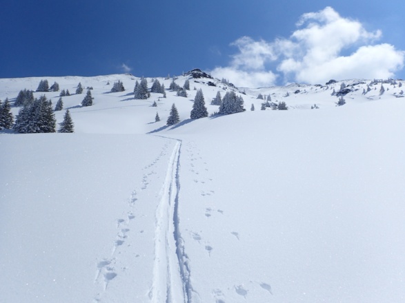 Gegenanstieg zum Hochkasern