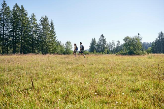 Wandern im Kojenmoos in Riefensberg