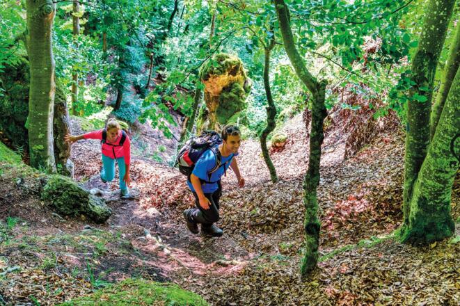 Der Weg liegt im Naturwaldreservat Beixenhart – ein Urwald, der sich weitgehend selbst überlassen wird.