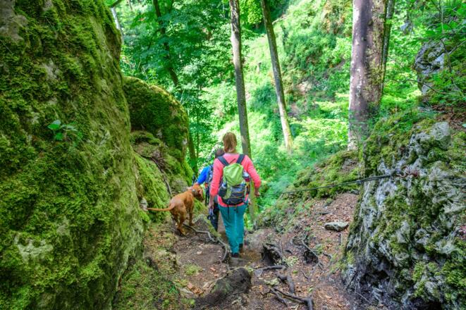 Durch Felsspalten zwängen und über Wurzeln und Baume balancieren: der Steig hat fast alpinen Charakter.