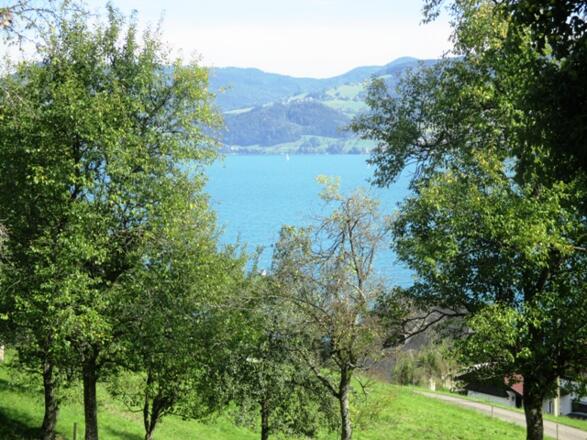 Faschinghof Umgebung
