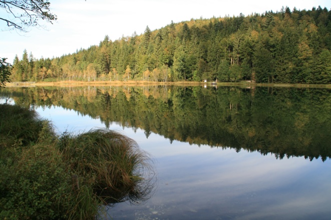 Frillensee