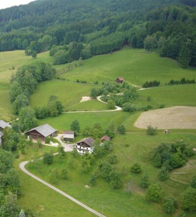 Faschinghof Luftbild