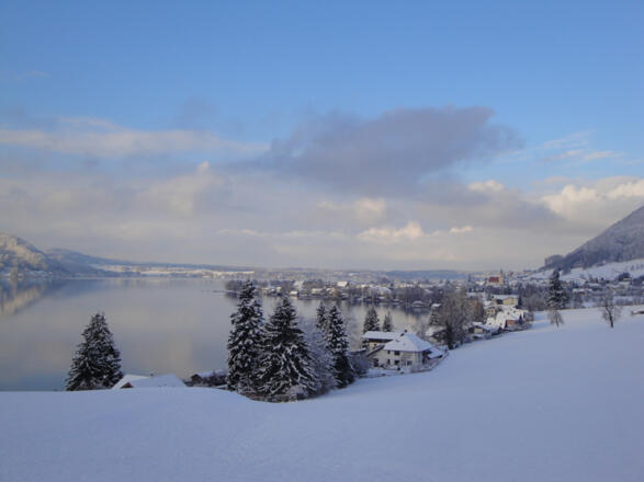 Winter 2