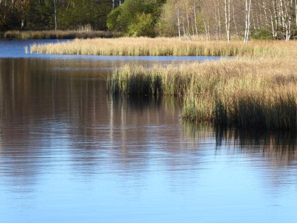 Rotes Moor