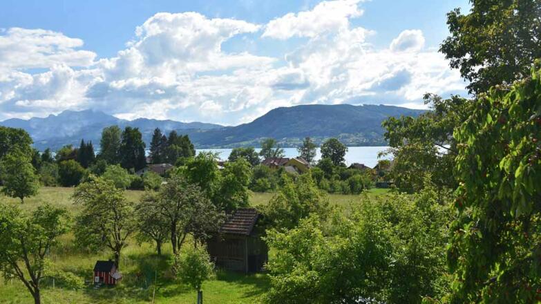 2020_Aussicht auf den See Foto Kaiser Renee tour