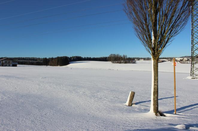 Neudorfer-Winter (6)