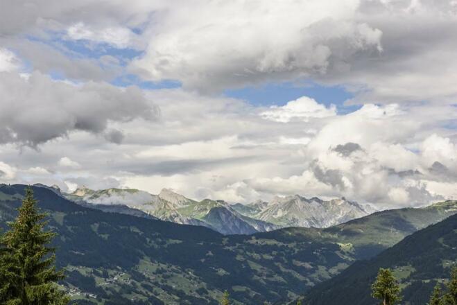 Ausblick